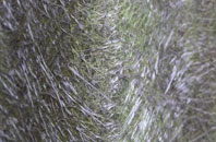 Aslackby fibreglass roof work